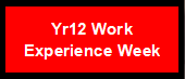Year 12 work experience