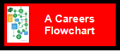 Careers flowchart